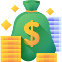Money Icon
